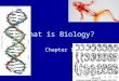What is Biology? Chapter 1. –Where did plants and animals come from? – How did I come to be? –Humans have tried to answer these questions in different