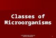 2.02 Understand infection control procedures Classes of Microorganisms 1