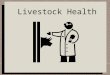 Livestock Health. Infectious Disease Spread from one animal to another Contagious Caused by bacteria, virus, protozoan, etc