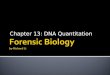 Chapter 13: DNA Quantitation.  Quantitation determines the amount of human DNA present in an extract  A narrow concentration range is required to “seed”