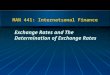 MAN 441: Internatıonal Finance Exchange Rates and The Determination of Exchange Rates