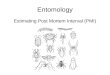 Entomology Estimating Post Mortem Interval (PMI)