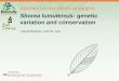 Species conservation strategies Shorea lumutensis: genetic variation and conservation David Boshier, and SL Lee