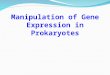 Manipulation of Gene Expression in Prokaryotes. The expression of the cloned gene in a selected host organism. It does not necessarily ensure that it