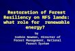 Restoration of Forest Resiliency on NFS lands: what role for renewable energy? by Corbin Newman, Director of Forest Management, National Forest System
