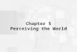Chapter 5 Perceiving the World. Some Key Terms Perception: How we assemble sensations into meaningful patterns Bottom-up processing: Analyzing information
