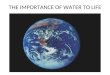 THE IMPORTANCE OF WATER TO LIFE. Hydrogen Bonds Give Water Unique Properties Water molecules are polar molecules Unequal sharing of electrons & V-like