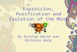 Expression, Purification and Isolation of the MinE protein By Arsalan Wasim and Nicholas Wong
