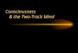 Consciousness & the Two-Track Mind. What is the difference between the brain and the mind? “The mind is what the brain does”
