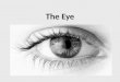 The Eye. Cross-section of an eye muscle optic nerve aqueous humour lens pupil iris cornea ciliary muscle vitreous humour blind spot retina sclera