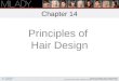 Principles of Hair Design Chapter 14 Learning Objectives Describe sources of hair design inspiration. List the five elements of hair design and how they