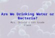 Are We Drinking Water or Bacteria? Mrs. Shield’s 6th Grade Class
