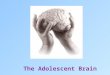 The Adolescent Brain. Matt, 16, can’t remember anything Bethany,18 “Knows” Everything