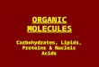 ORGANIC MOLECULES Carbohydrates, Lipids, Proteins & Nucleic Acids