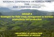 NATIONAL CONFERENCE ON AGRICULTURE FOR RABI CAMPAIGN -2013-14. GROUP-II Strategies for Rabi crops management to increase productivity and production DEPARTMENT
