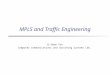 MPLS and Traffic Engineering Ji-Hoon Yun Computer Communications and Switching Systems Lab