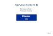 Nervous System II Chapter 11 11-1 Divisions of the Nervous System