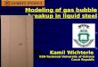 Kamil Wichterle VSB-Technical University of Ostrava Czech Republic Modeling of gas bubble breakup in liquid steel