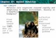 Chapter 27: Animal Behavior KEY CONCEPT Behavior lets organisms respond rapidly and adaptively to their environment. Usually in a beneficial way. Examples?