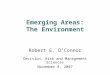 Emerging Areas: The Environment Robert E. O’Connor Decision, Risk and Management Sciences November 8, 2007