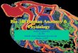 Bio 348 Human Anatomy & Physiology Janice Lapsansky BI 305 Email: janice.lapsansky@wwu.edu Phone: x7337