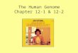 The Human Genome Chapter 12-1 & 12-2. THINK ABOUT IT What does a can of Diet Coke and this songsong have to do with human genetics? (Answers to come in
