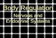 Body Regulation Nervous and Endocrine Systems. UNIT 6: PHYSIOLOGY Chapter 29: Nervous and Endocrine Systems I. How Organ Systems Communicate (29.1) A