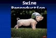 Swine Reproduction. Breeding herds Replacement gilts Replacement gilts Sows Sows Boars Boars