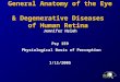 General Anatomy of the Eye & Degenerative Diseases of Human Retina Jennifer Hsieh Psy 159 Physiological Basis of Perception Physiological Basis of Perception1/11/2005