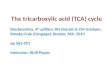 The tricarboxylic acid (TCA) cycle Biochemistry, 4 th edition, RH Garrett & CM Grisham, Brooks/Cole (Cengage); Boston, MA: 2010 pp 563-591 Instructor: