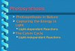 Photosynthesis  Photosynthesis in Nature  Capturing the Energy in Light  Light-dependent Reactions  The Calvin Cycle  Light-independent Reactions