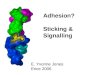 Adhesion? Sticking & Signalling E. Yvonne Jones Erice 2006