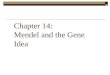 Chapter 14: Mendel and the Gene Idea. Inheritance  The passing of traits from parents to offspring.  Humans have known about inheritance for thousands