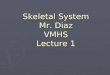 Skeletal System Mr. Diaz VMHS Lecture 1. The Skeletal System ► Parts of the skeletal system  Bones (skeleton)  Joints ► Cartilages  Ligaments ► Divided