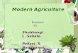 Modern Agriculture Presented By Shubhangi. L.Sabale. Pallavi.S. Nandanwar