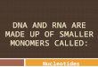 DNA AND RNA ARE MADE UP OF SMALLER MONOMERS CALLED: Nucleotides