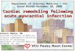 Department of Internal Medicine – VCU Grand Rounds November 20, 2008 Cardiac remodeling following acute myocardial infarction Antonio Abbate, MD Assistant