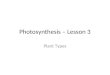 Photosynthesis – Lesson 3 Plant Types. Review In the chemiosmotic synthesis of ATP, H+ diffuses through ATP synthase from the _____ to the _____ (a)Stroma