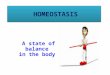 HOMEOSTASIS A state of balance in the body. Homeostasis is the maintenance of a steady state in the body despite changes in the external environment The
