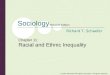 © 2007 McGraw-Hill Higher Education. All rights reserved. Sociology Eleventh Edition Richard T. Schaefer Chapter 11: Racial and Ethnic Inequality
