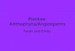 Plantae: Anthophyta/Angiospems Farah and Emily. flowering plants