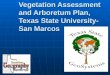 Vegetation Assessment and Arboretum Plan, Texas State University- San Marcos