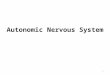 Autonomic Nervous System 1. Function of the Autonomic Nervous System 2