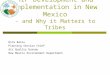 SIP Development and Implementation in New Mexico - and Why it Matters to Tribes Rita Bates Planning Section Chief Air Quality Bureau New Mexico Environment