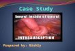 Case Study Demographic Data CASE NO:14xxx NAME:Baby H AGE:3 yrs old SEX:Male DIAGNOSIS: Intussusception CASE NO:14xxx NAME:Baby H AGE:3 yrs old SEX:Male