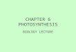 CHAPTER 6 PHOTOSYNTHESIS BIOLOGY LECTURE. ENERGY FOR LIFE PROCESS 1.All organisms require a constant supply of energy 2.Energy does not recycle; almost