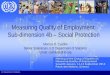 ILO Department of Statistics Measuring Quality of Employment: Sub-dimension 4b – Social Protection Monica D. Castillo Senior Statistician, ILO Department