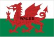 Wales. Basic information  Capital: Cardiff  Official languages: English and Welsh  Total area: 20,779 km2  Population: 3,063,456