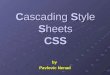 Cascading Style Sheets CSS by Pavlovic Nenad by. 2Cascading Style Sheets Presentation Contents What are CSS? What are CSS? History of CSS History of CSS