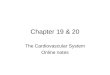 Chapter 19 & 20 The Cardiovascular System Online notes